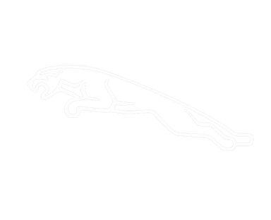 Jaguar Logo